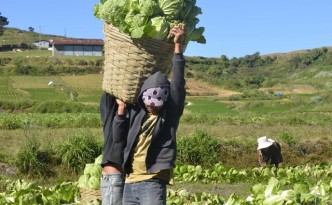 agrijobs_Northern-Dispatch