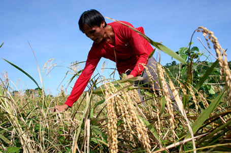 agrijobs_SIBAT